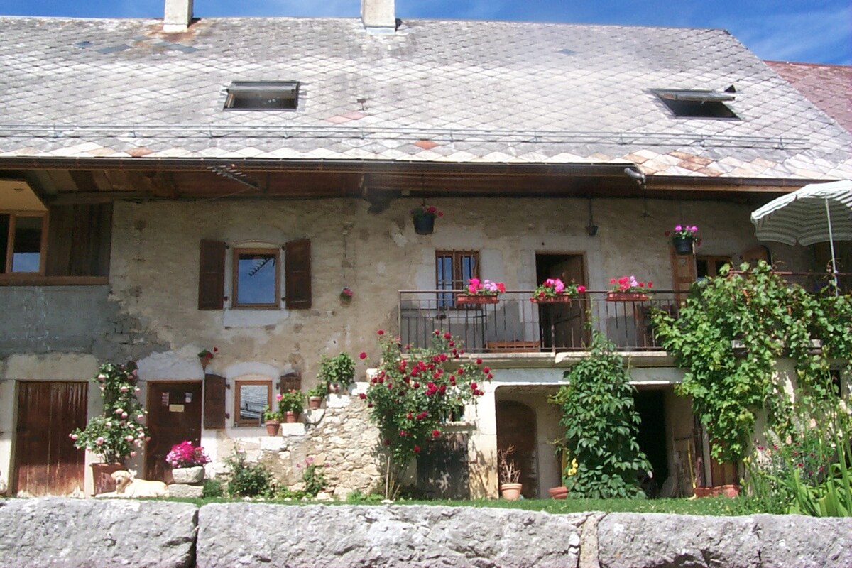 Savoie, "Entre terre et pierre" Arith/Bauges cottage