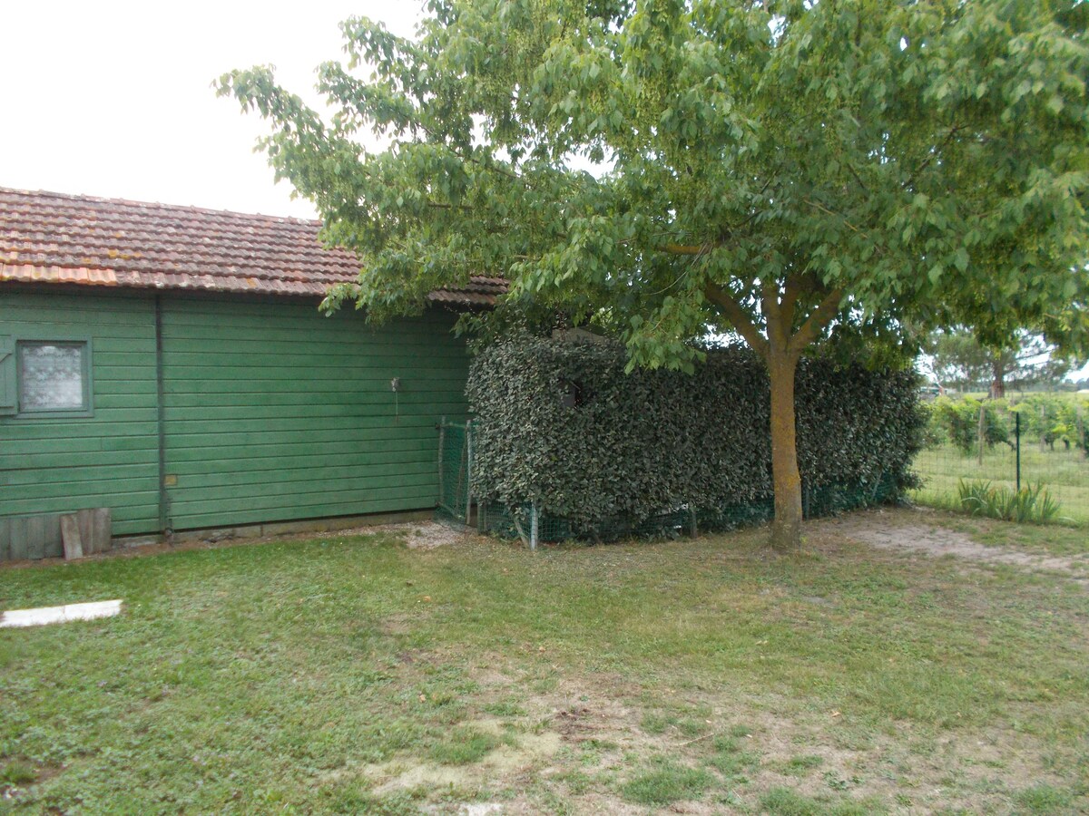 loue chalet bois de 35 m² en Médoc (lou cabanou )