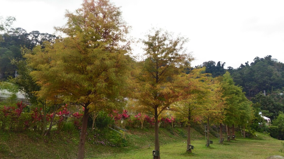 山林渡假，體驗農村生活日常，