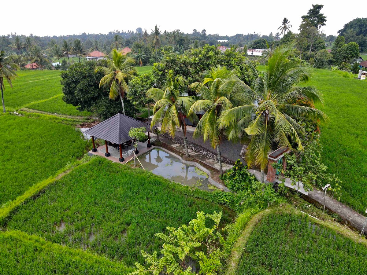 原始的巴厘岛360度水稻梯田屋！