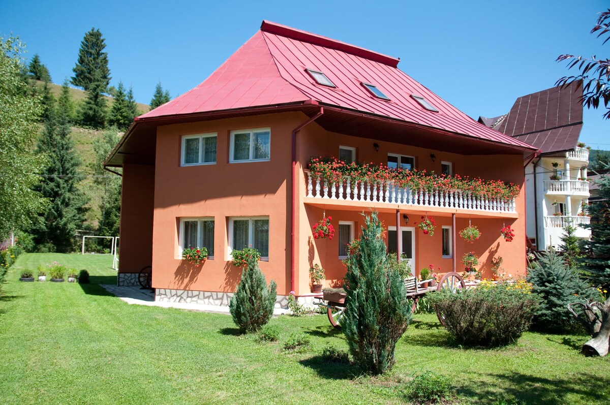 6 - Cozy room in the heart of Apuseni Mountains