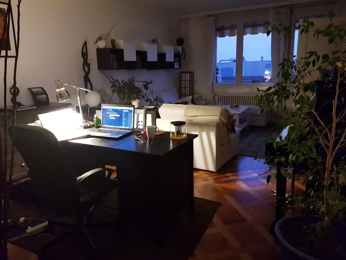 Cozy apartment in Petit-lancy (Geneva)