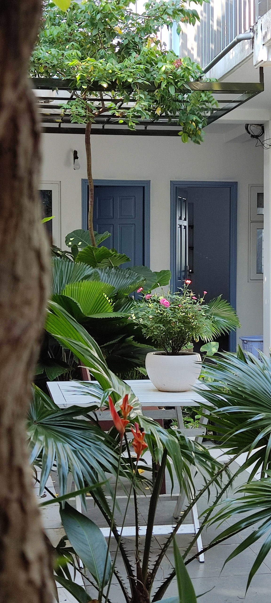 Tropical Garden Room 2- Lam's Homestay Cozy Town