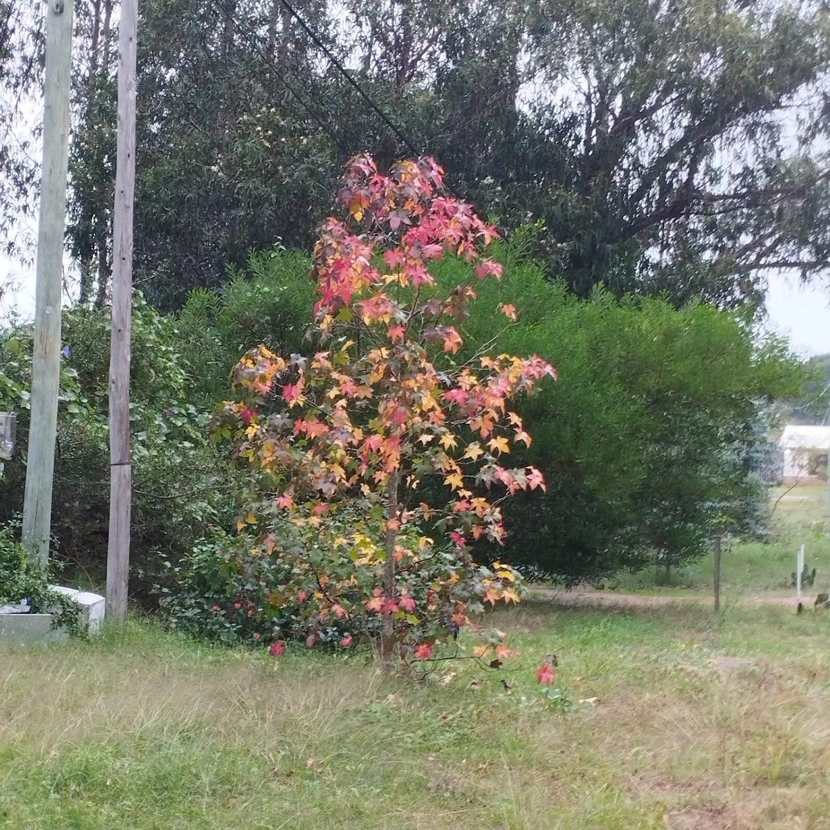 靠近La Floresta 4海滩和小溪