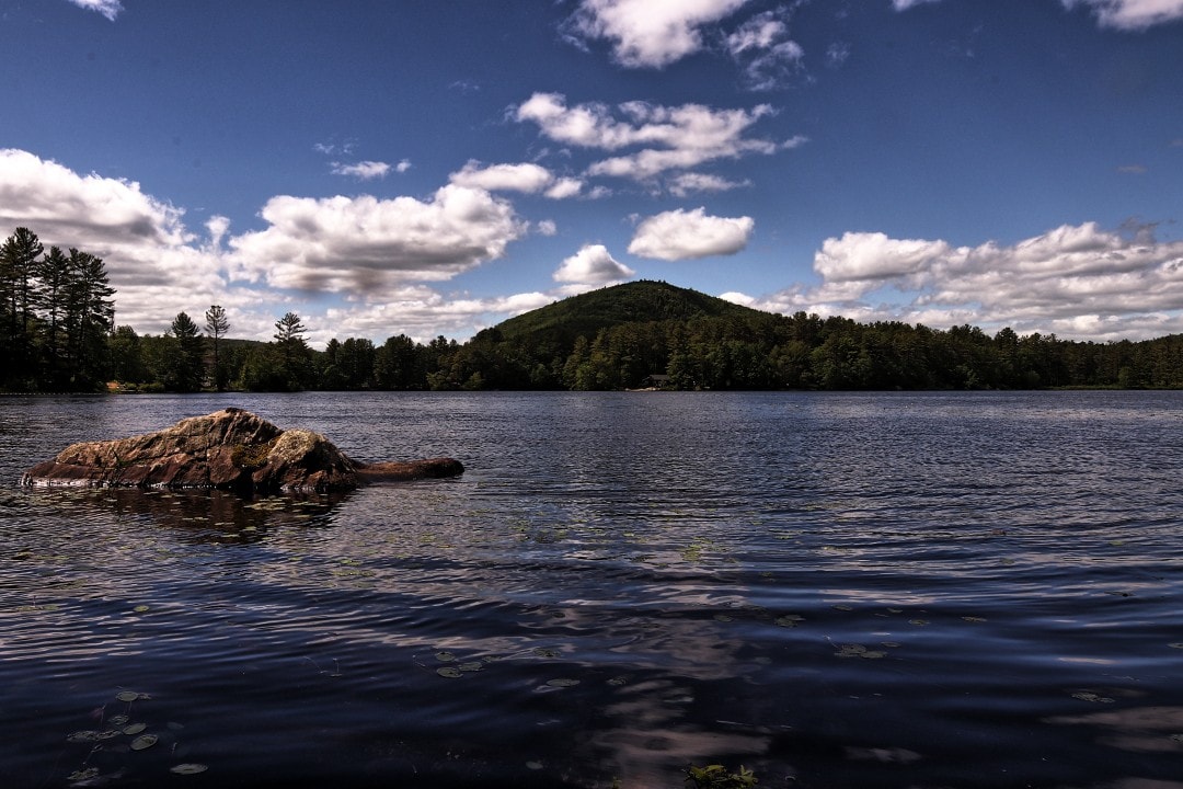 The Fishing Cottage: A Sweetwater Stay