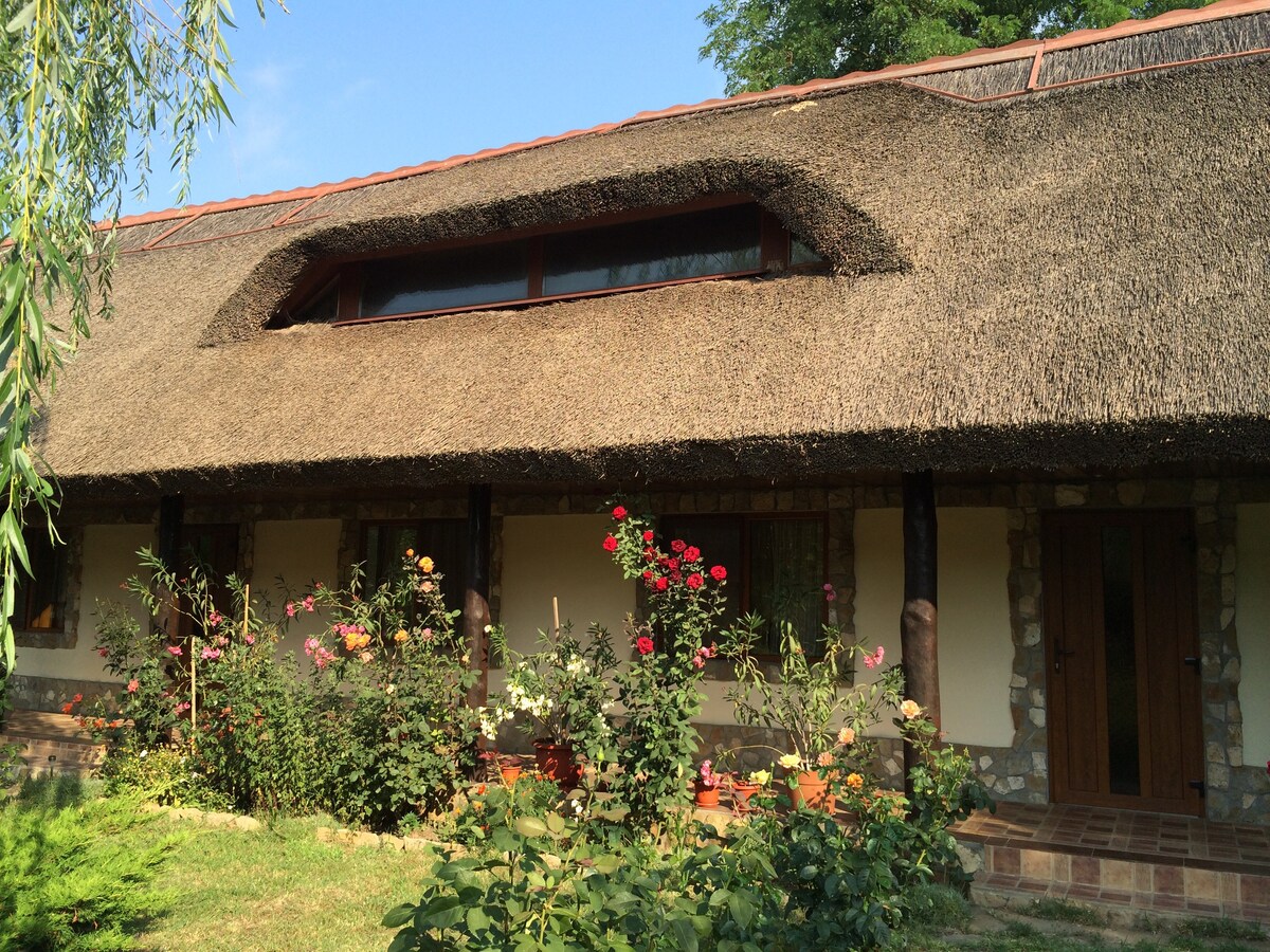 多瑙河三角洲茅草屋顶度假小屋