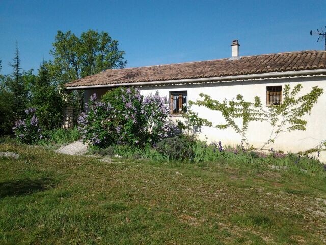 "garrigue et soleil"