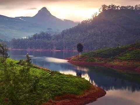 亚当斯峰（ Green House Adams Peak ）