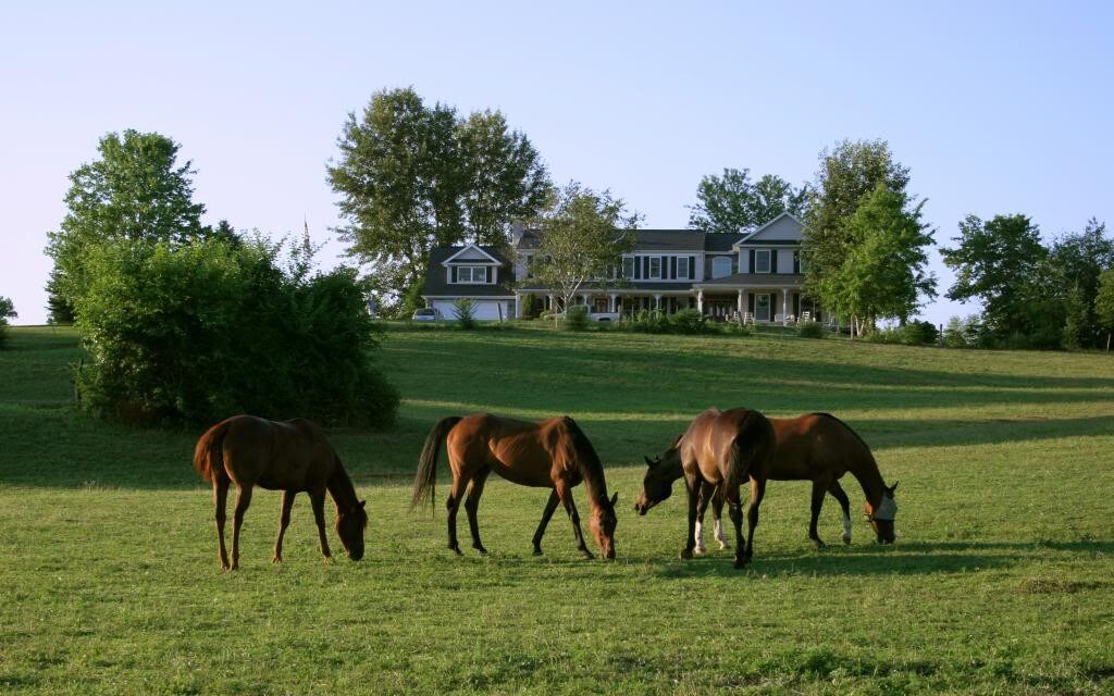 Carriage House - The Inn at Westwynd Farm