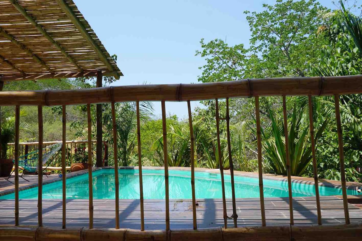 El nido del colibrí
en la naturaleza con piscina