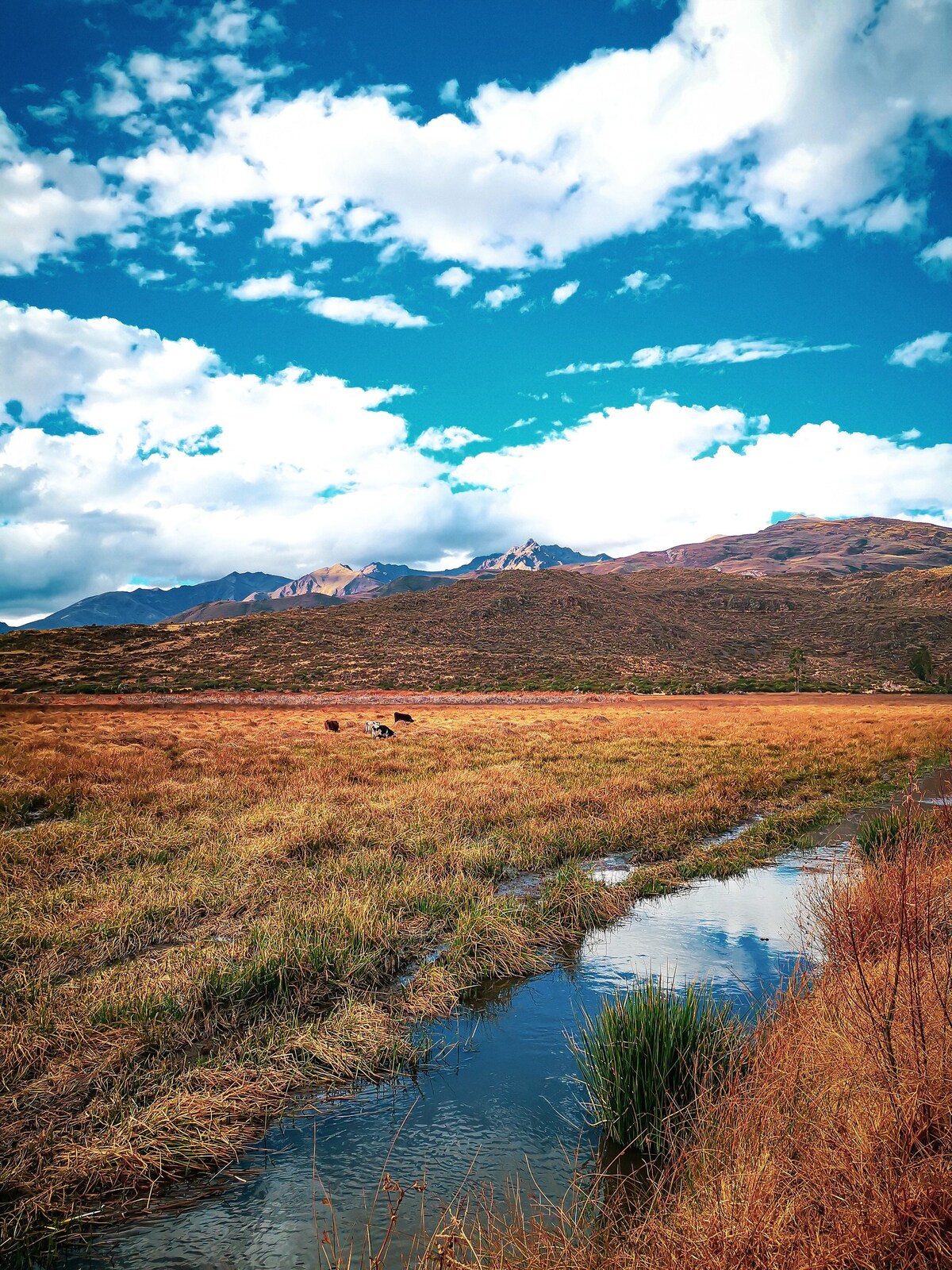 Casa de Campo - Lake Huacarpay