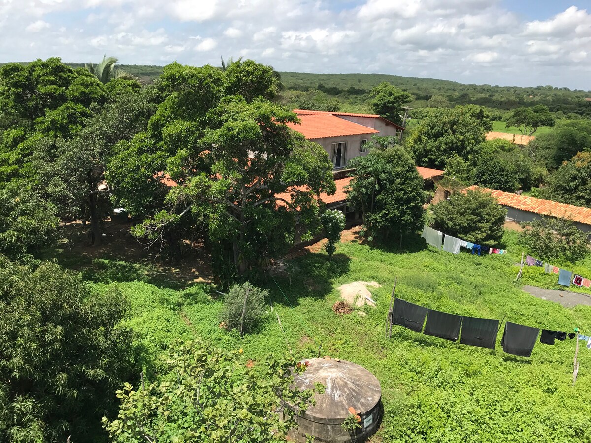 Fazenda exótica no Piauí
