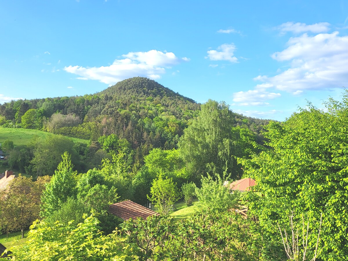 Mäuerle公寓，最多可入住8位成人Palatinate Forest ，西南部