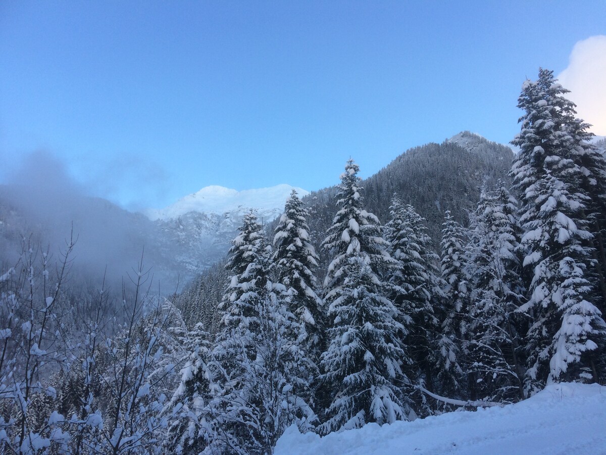 舒适的木质度假木屋，可欣赏到勃朗峰（ Mont Blanc ）的美景