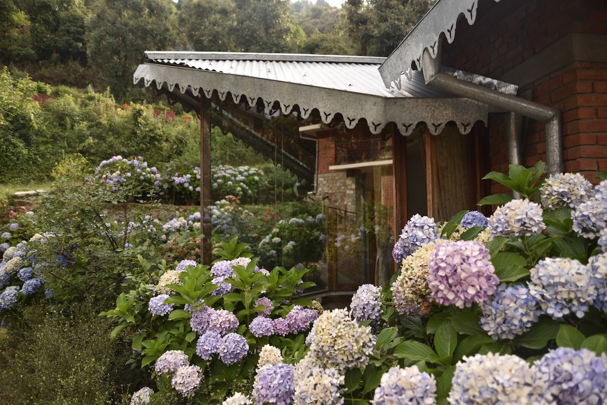 Sage Cottage - A Home with a View