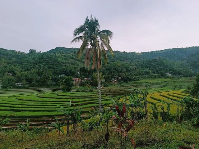 Bago City的民宿