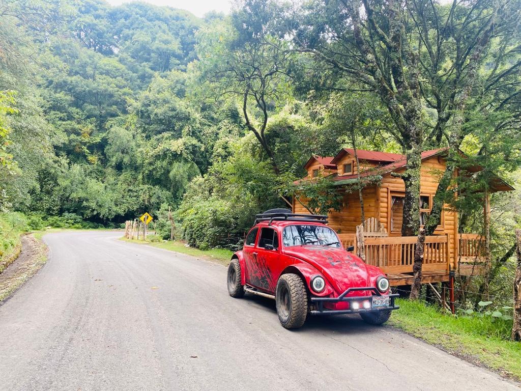 Cabaña los Encinos/El Bosque de las Ranas