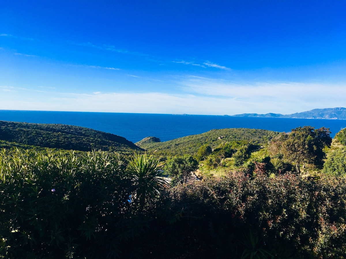 Un cabanon sur la mer ...