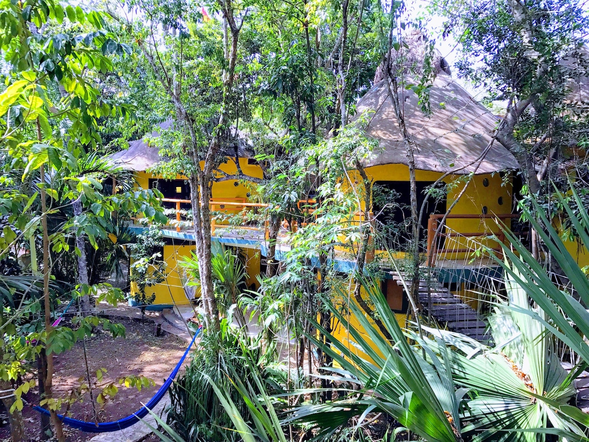 Treehouse B&B Chakte