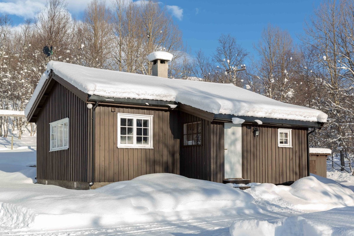 山区增值税乡村小屋， Hallingdal Ål