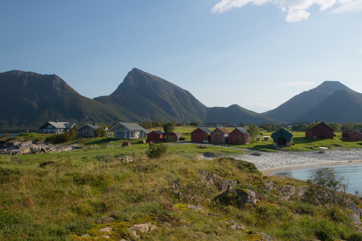 Engeløya Steigen。美好的假期生活。