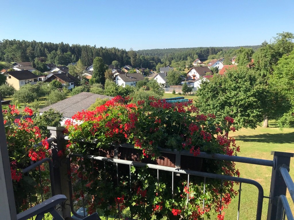 Landgasthof Hotel Löwen, (Wildberg),公寓Schwarzwald