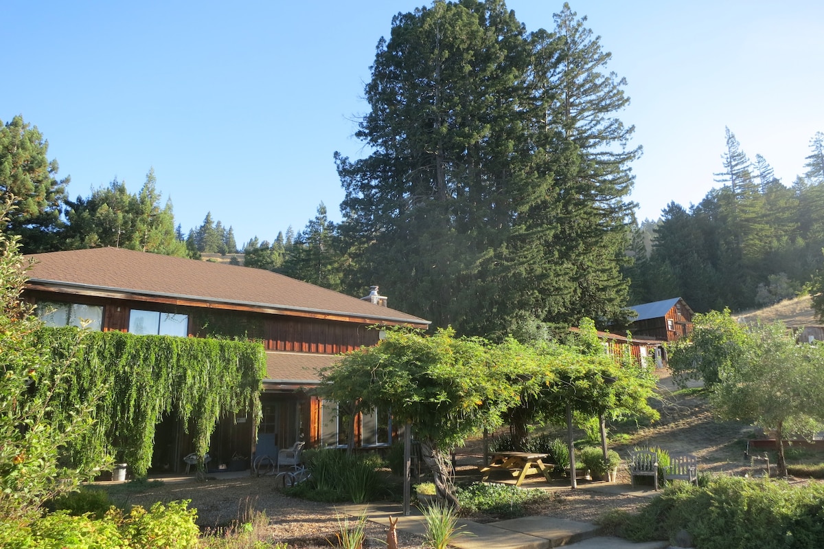Lodge guest house overlooking Anderson Valley