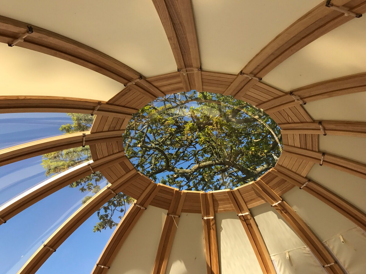 Romance at Oak Tree Dome - Un