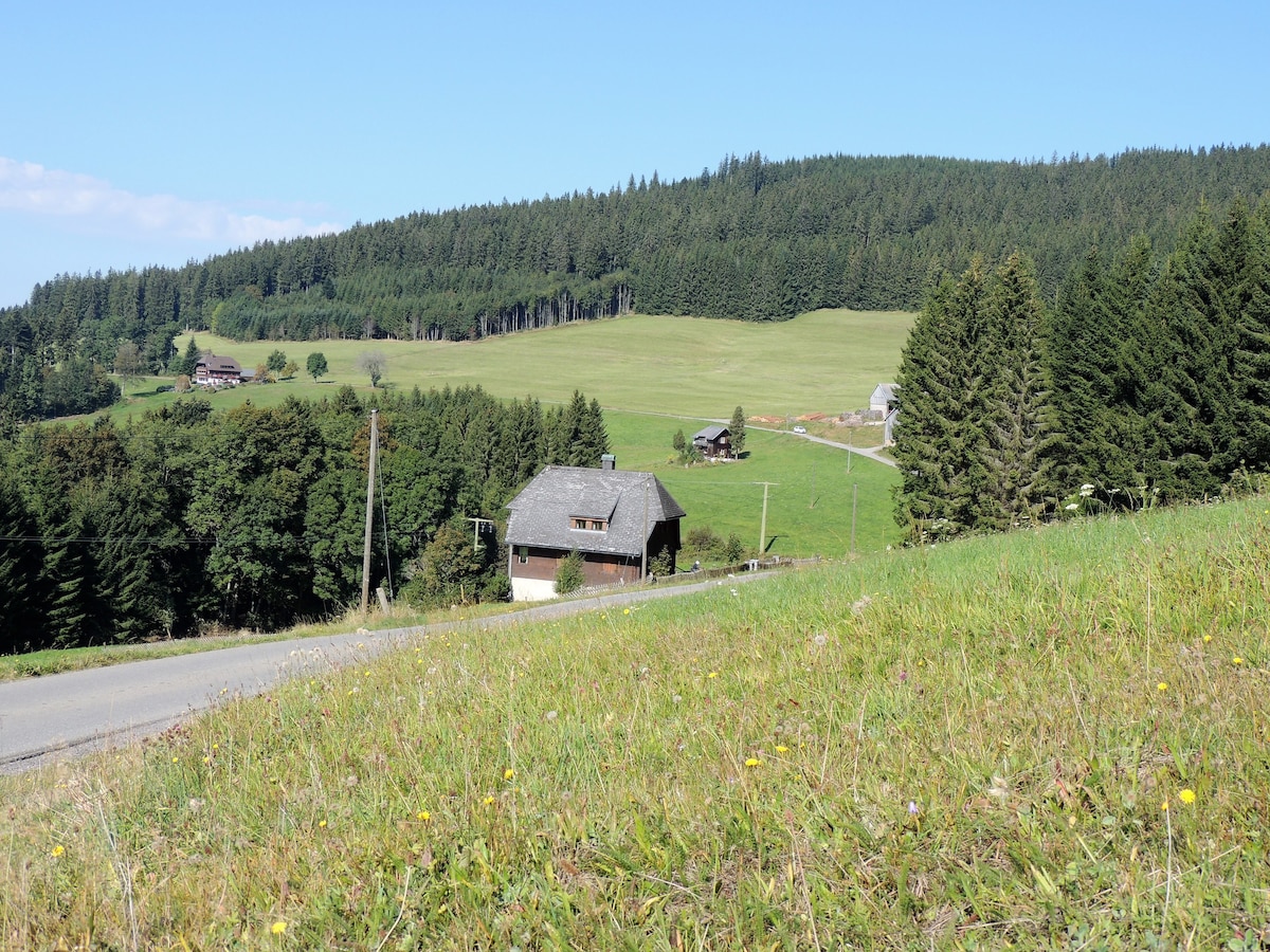 Historic Black Forest House "Seiler-Haus"