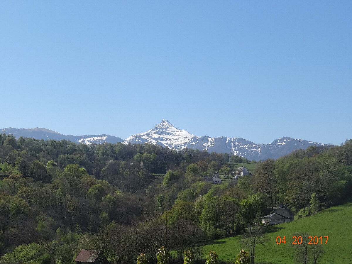 Bergerie Costemale, belle vue sur les Pyrénées