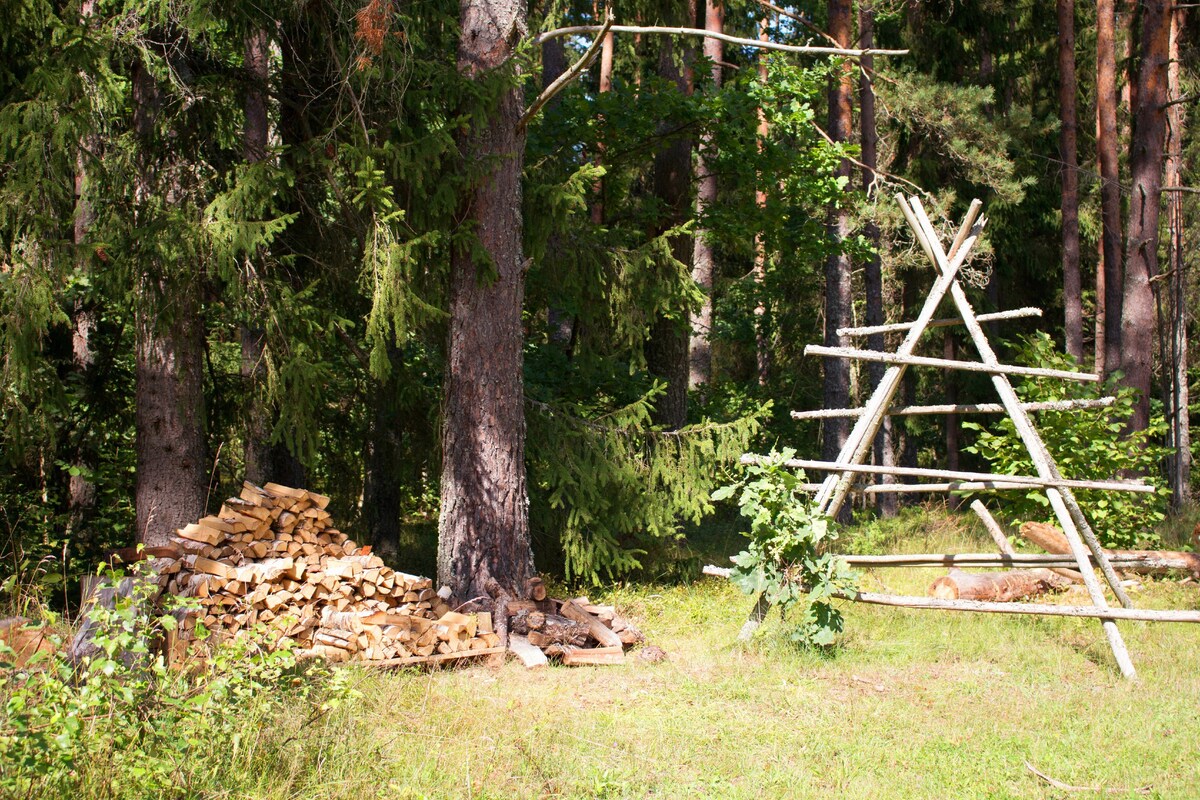 森林里的小屋