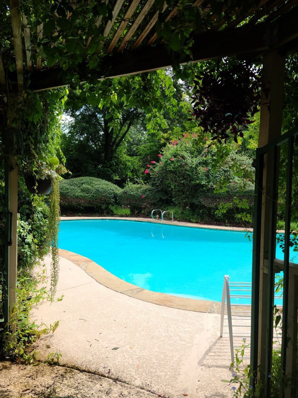 休斯敦的隐秘绿洲。 温水游泳池。整套房源。