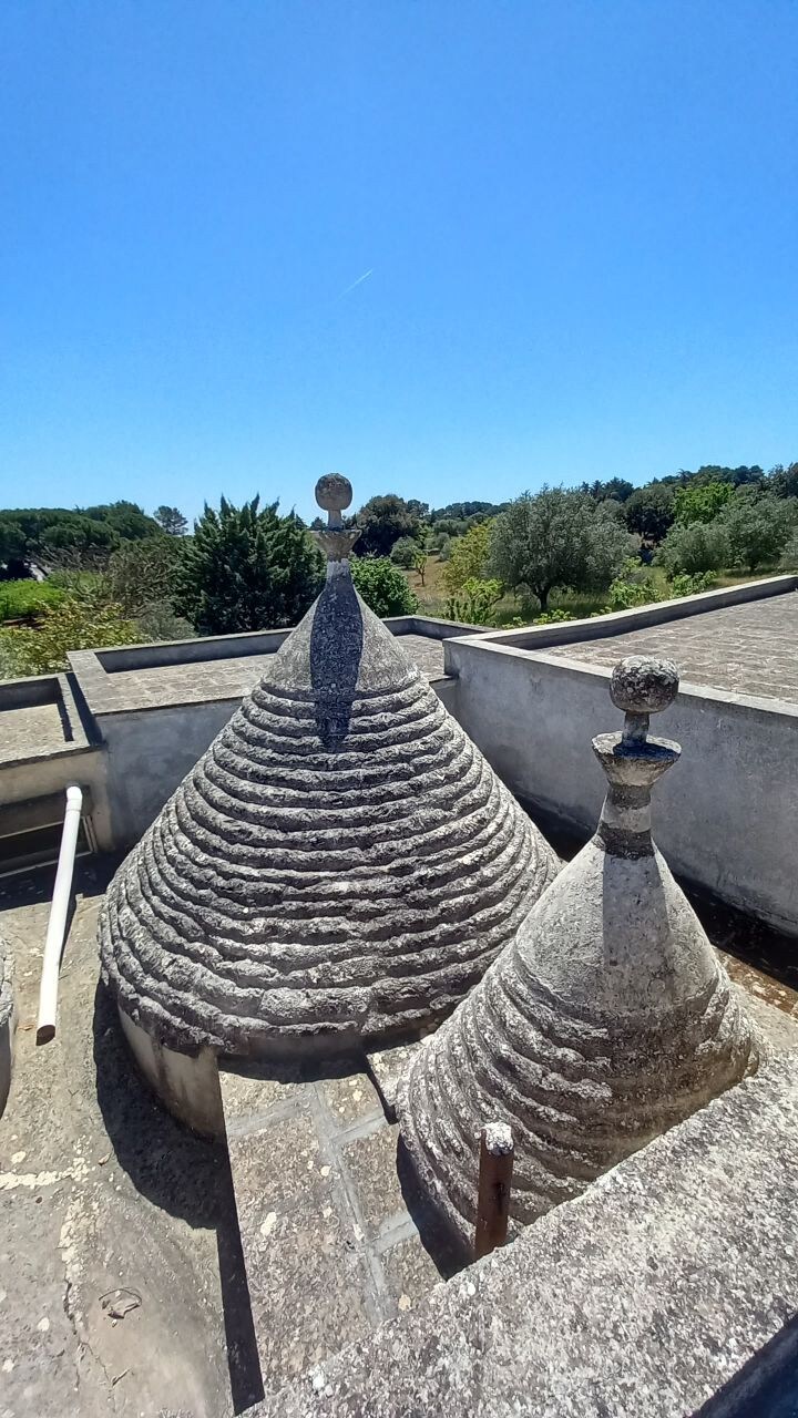 LA DIMORA DI ARTEMIDE (TRULLO BEATRICE)