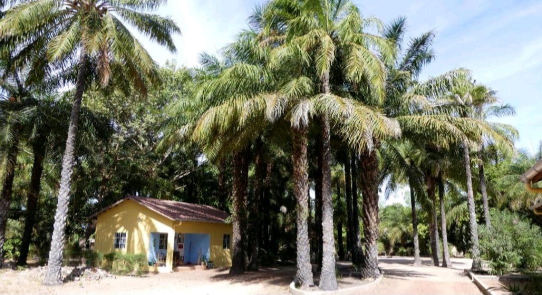 Cashew Lodge room 2 with garden view