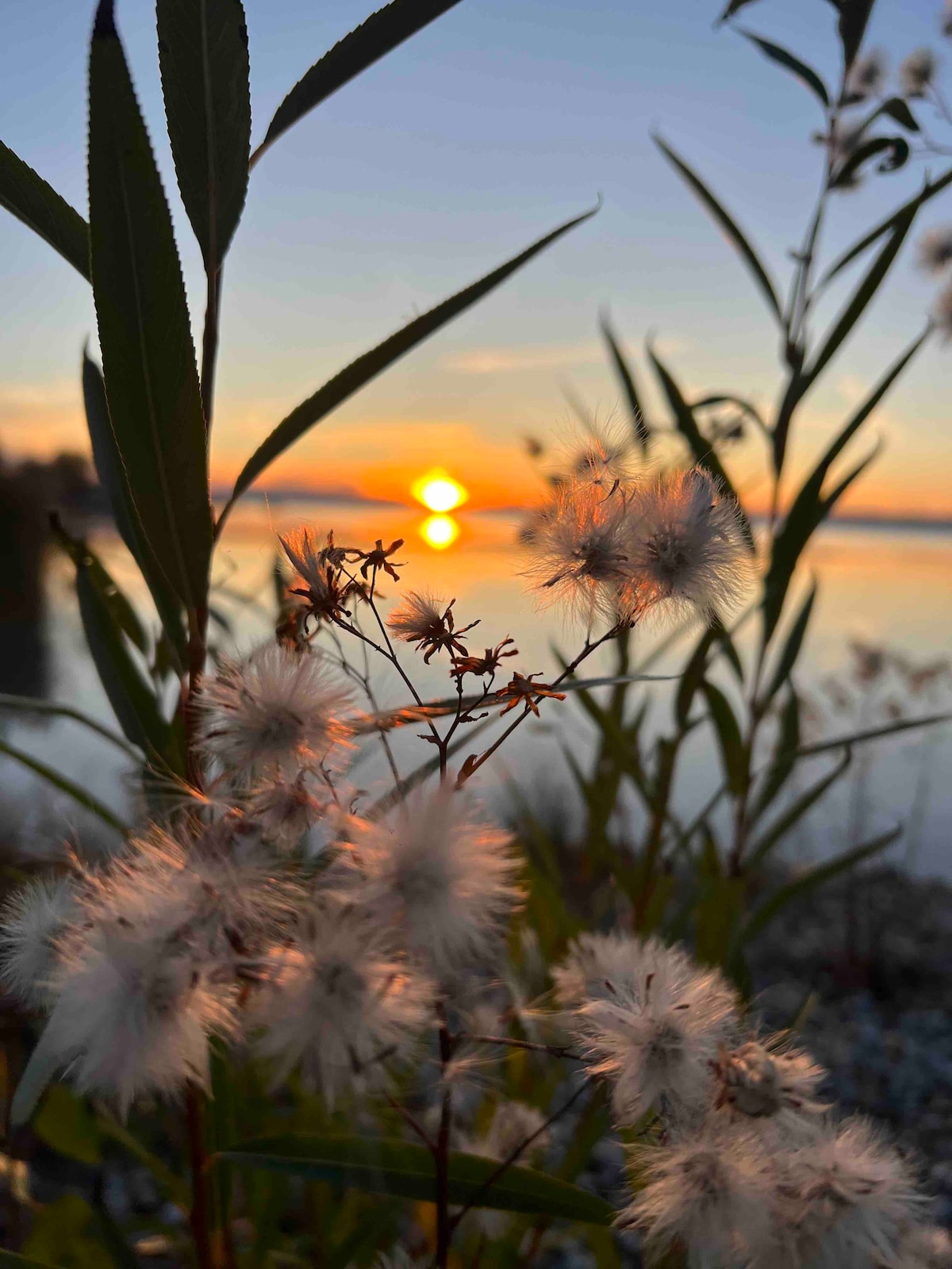 Dein Urlaubsparadies Ferienhaus am Neusiedler See