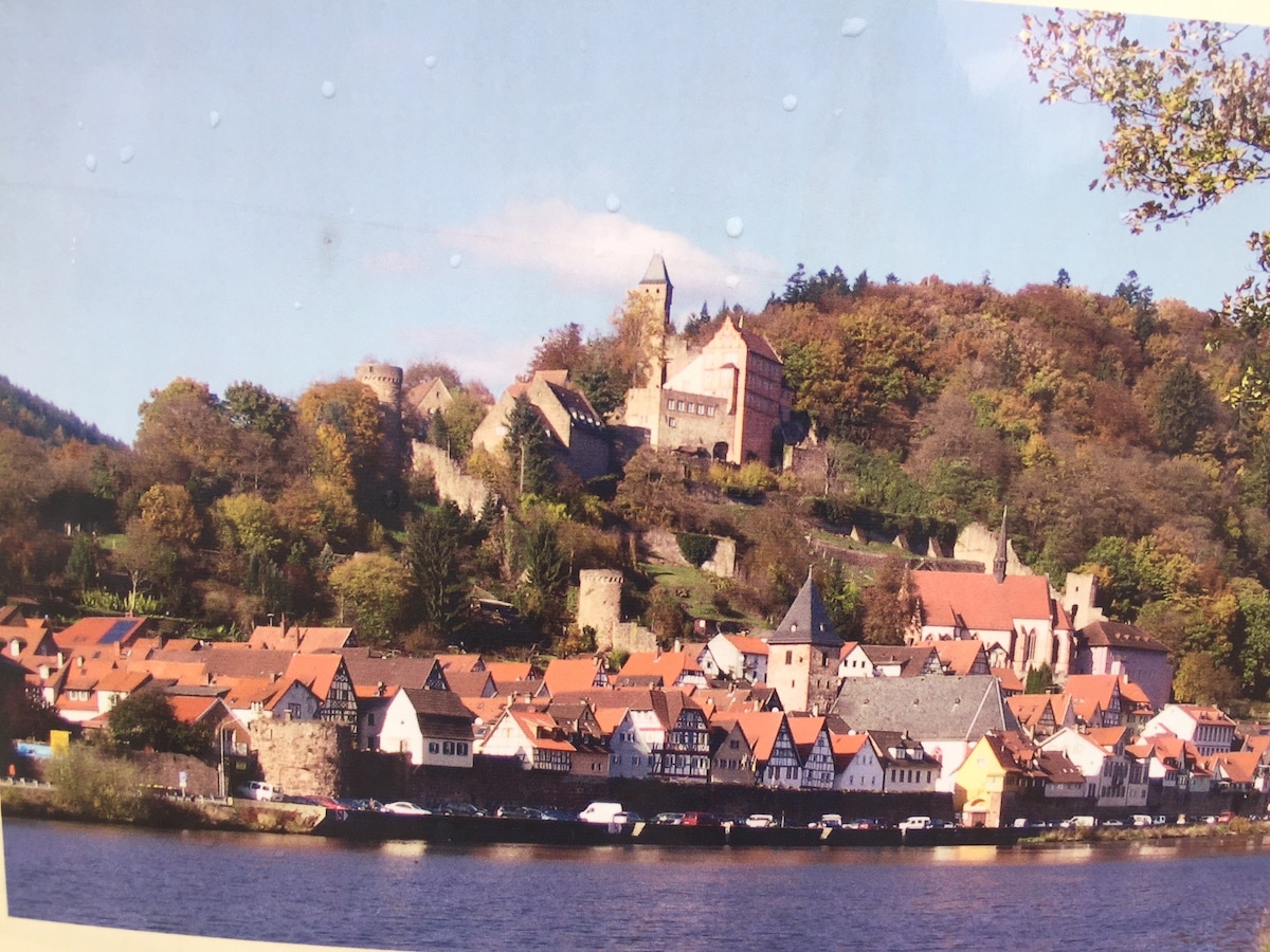 W1.Natur Neckarblick bei Heidelberg