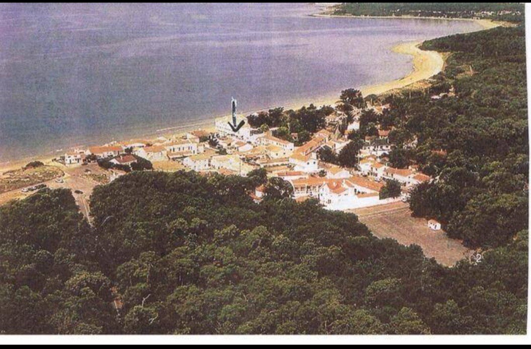 appart à 50 m de la plage de sable fin et forêt