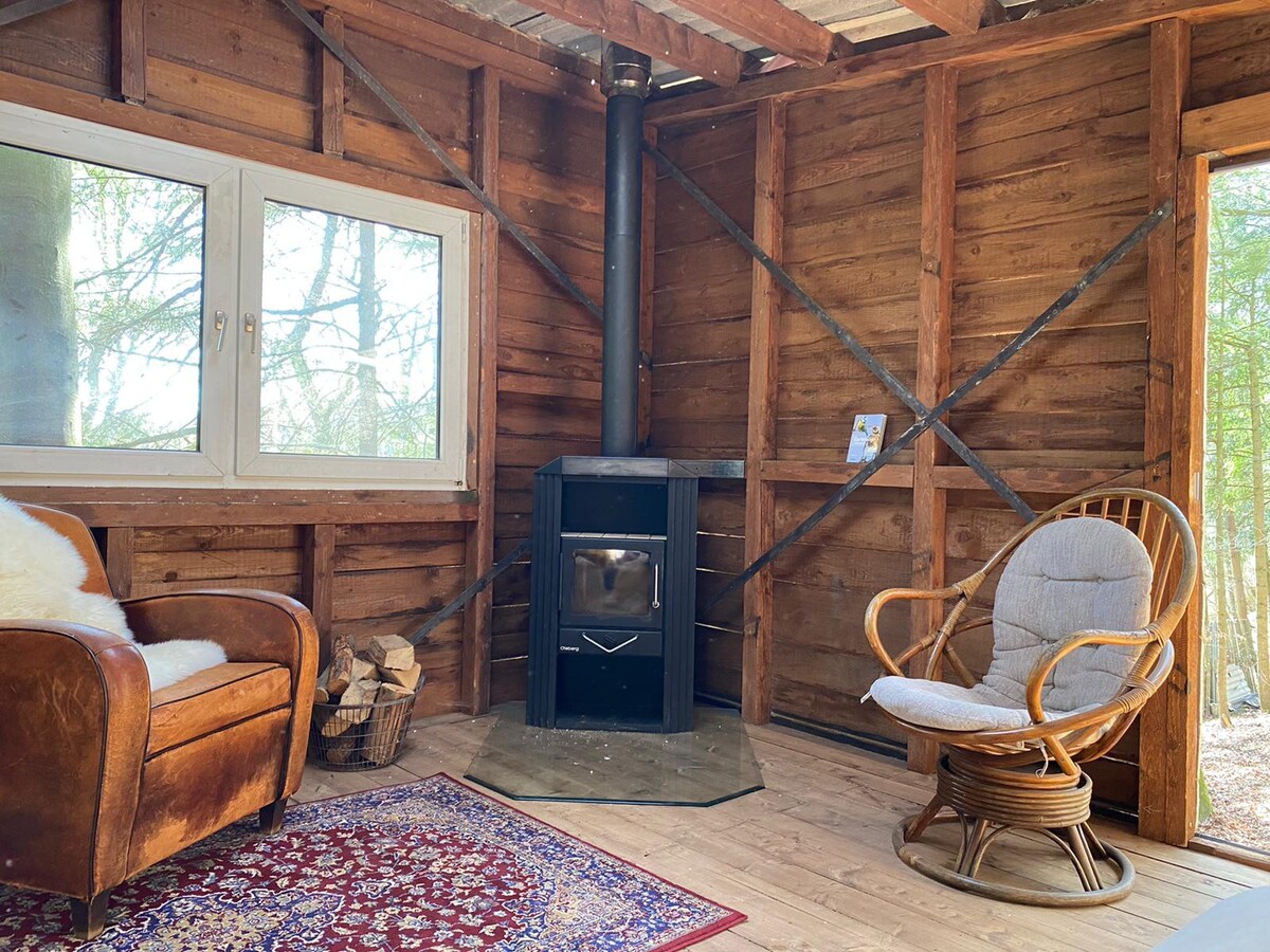 Waldhaus/Forest Hut in der Eifel