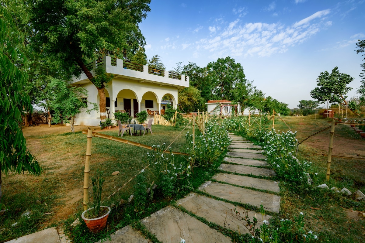 Aryan Riverside Camp, Panna Tiger Reserve Madla-T1