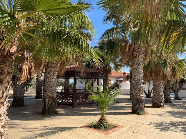 棕榈树小屋（ Palm Tree Lodge ）