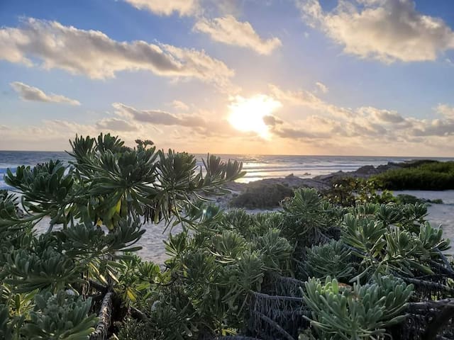 穆赫雷斯岛(Isla Mujeres)的民宿