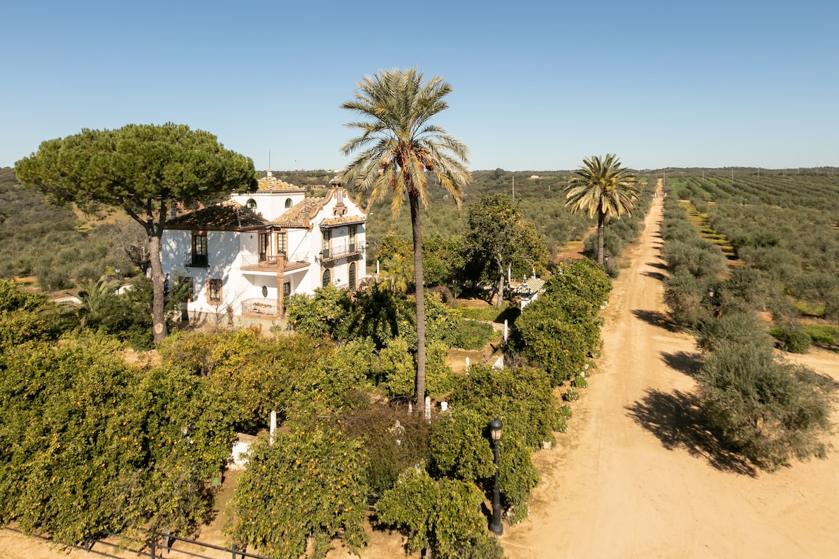 Hacienda San Felipe