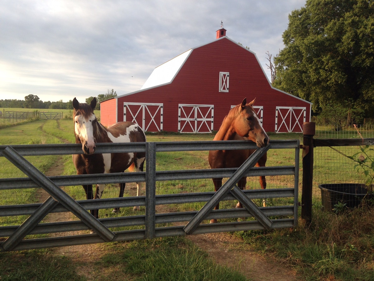 Farmhouse in Diamond Country: Sweethome Farms