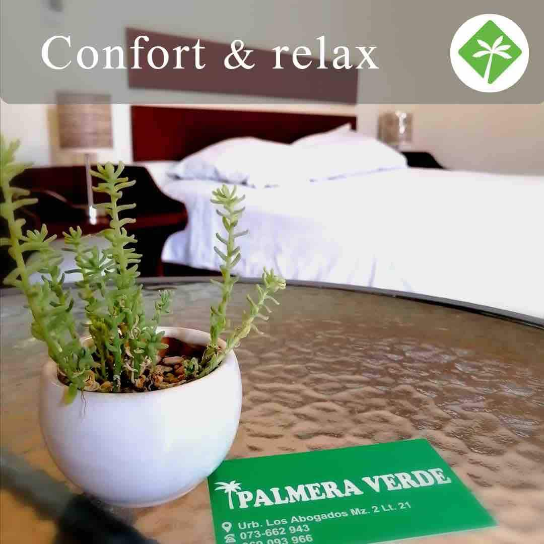 Habitación Hotel Palmera Verde