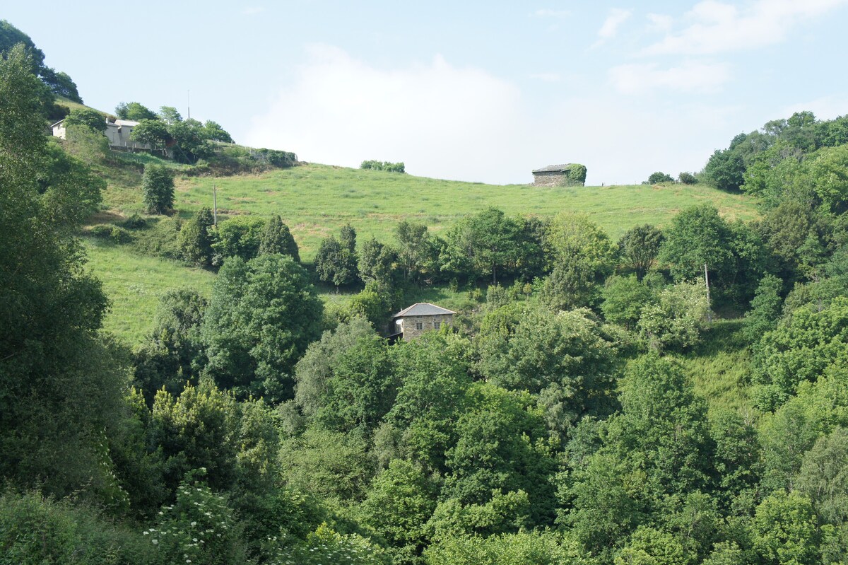 Luarca Asturias山上的乡村民宅