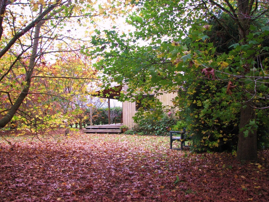 Manawaru村附近的Shaftesbury Glade Cottages