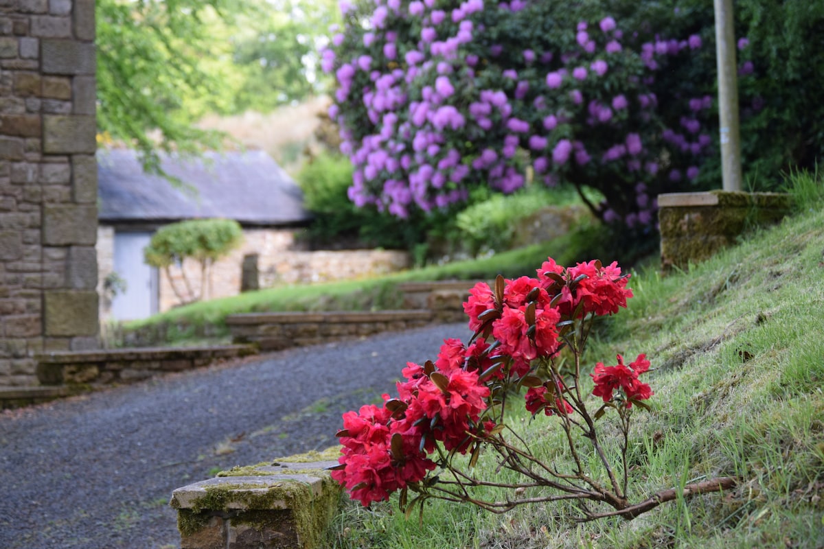 The Bothy at Ivy Cottage