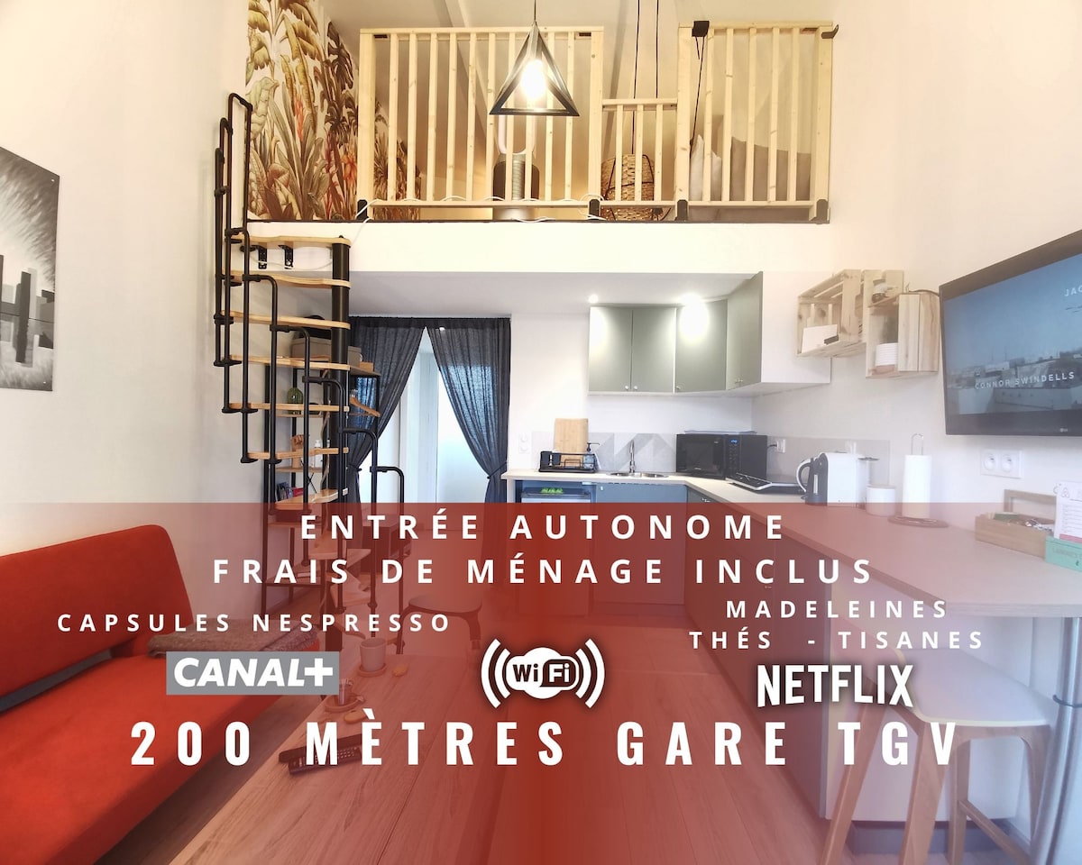 安静的公寓，带露台，距离TGV站200米