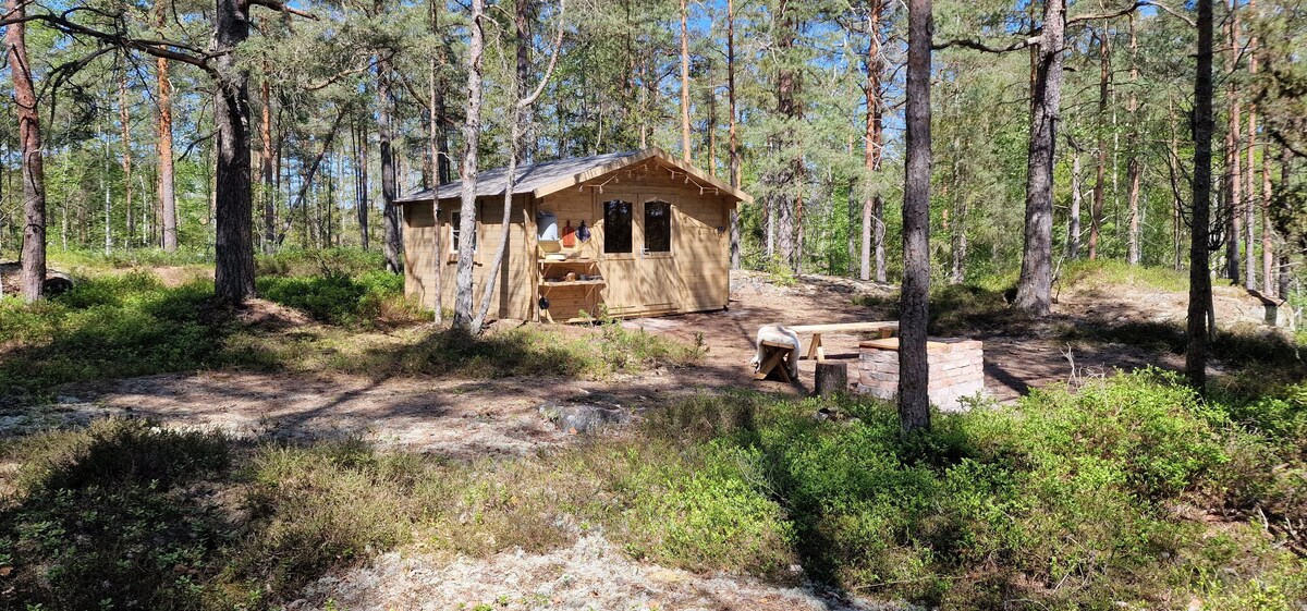 Tiny house i skogen