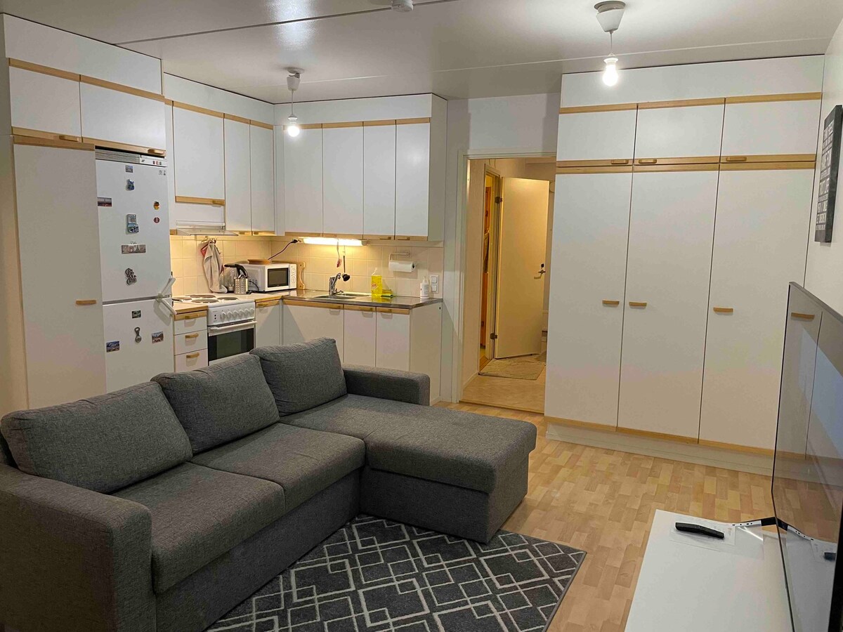 Entire apartment with own sauna and free parking
